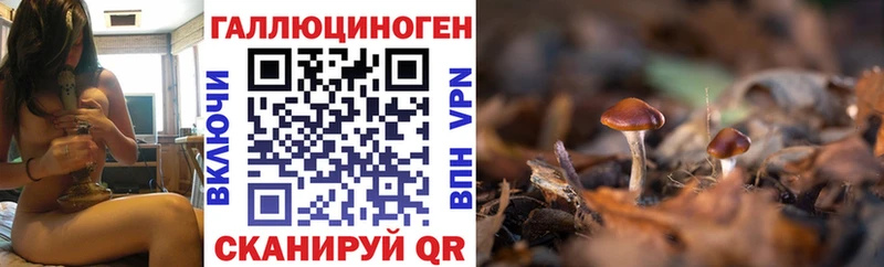 Галлюциногенные грибы GOLDEN TEACHER даркнет какой сайт Сорск цена наркотик